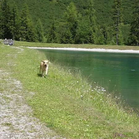 Leitgeb Josef *